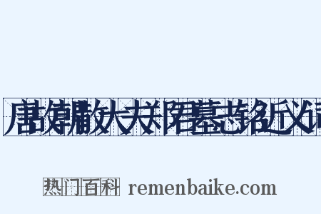 唐故朝散大夫郑君墓志铭近义词是什么意思的图片